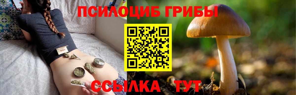 Псилоцибиновые грибы мицелий  Вход с VPN  Кстово 